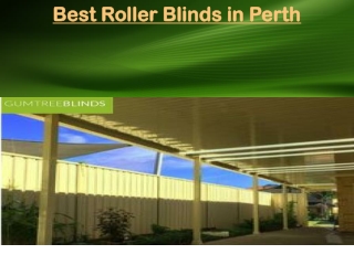 Best Roller Blinds in Perth