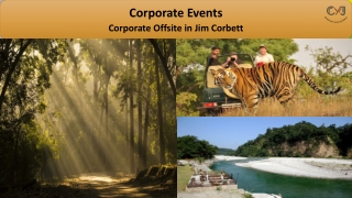 Best Corporate Outing in Jim Corbett | Corporate Offsite Destination in Jim Corbett