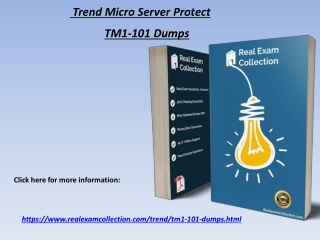 2020 Latest Trend TM1-101 Exam Questions