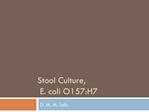 Stool Culture, E. coli O157:H7