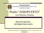 Predio AEROPUERTO Los Mochis, Sinaloa