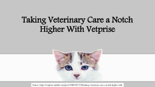 Taking Veterinary Care a Notch Higher With Vetprise