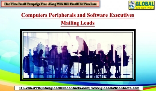 Computers Peripherals and Software Executives Mailing Leads