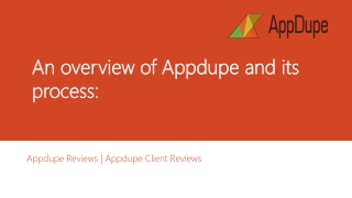 An overview of Appdupe and its process: