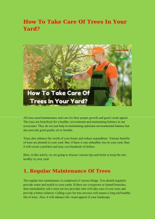 How To Take Care Of Trees In Your Yard?