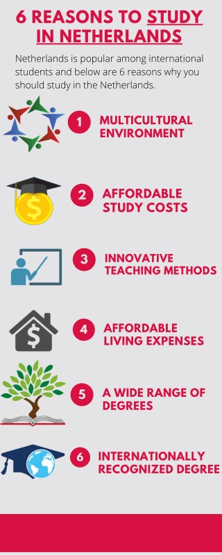 Top 6 Reasons to Study in the Netherlands