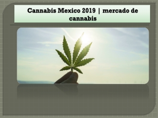 Cannabis legalización