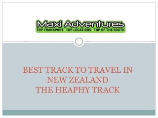 Looking for an adventurous trip on holidays come at the Heaphy Track