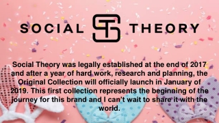 Social Theory Merchandise - Social Theory