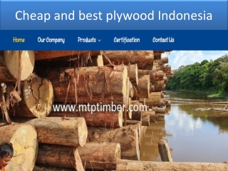 Gurjan plywood manufacturer Indonesia