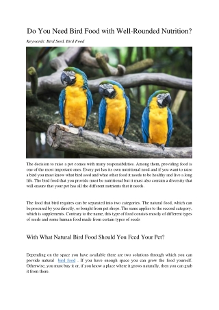 Do You Need Bird Food with Well-Rounded Nutrition?