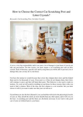 How to Choose the Correct Cat Scratching Post and Litter Crystals?