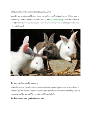 เคล็ดลับการเลือกอาหารกระต่ายราคาถูก แต่อัดแน่นด้วยคุณภาพ