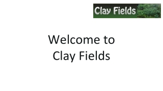 Clay Fields
