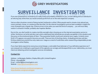 Surveillance Investigator