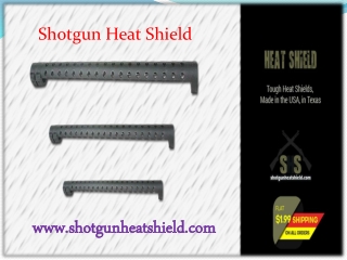 Pardner heat shield