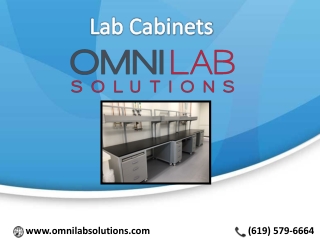 Lab Cabinets safe for your solvent and Solutions: OMNI Lab Solutions