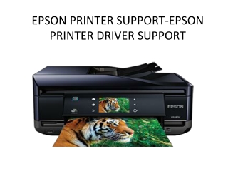 Epson printer support-Epson printer driver support