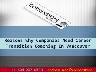 Reasons Why Companies Need Career Transition Coaching In Vancouver