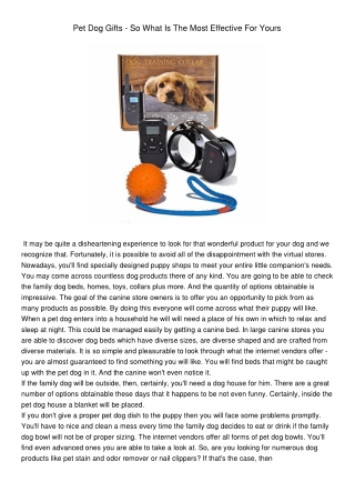 Dog Training Collar