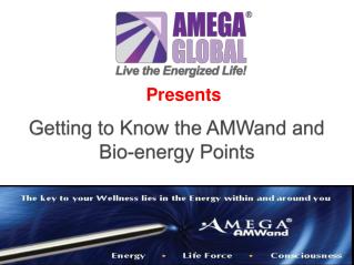 Getting to Know the AMWand and Bio-energy Points