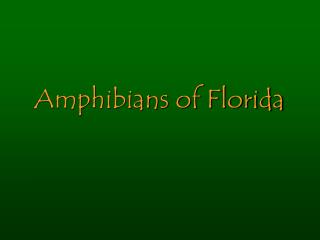 Amphibians of Florida