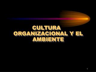 CULTURA ORGANIZACIONAL Y EL AMBIENTE