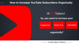 Best Place to Buy YouTube Subscribers