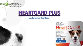 Heargard Plus Chew for Dogs online - A Heartworm Preventive