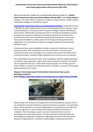 United States Environmental Clean up and Remediation Market Research Report 2025