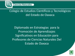 Colegio de Estudios Científicos y Tecnológicos del Estado de Oaxaca