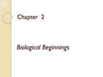 Biological Beginnings