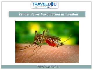 Yellow Fever Vaccine in London