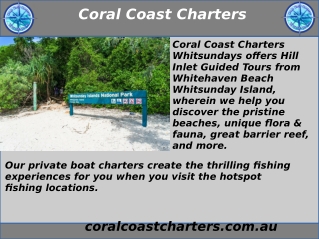 whitehaven hill inlet tours