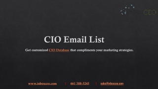 Get customized CIO Database that compliments your marketing strategies.