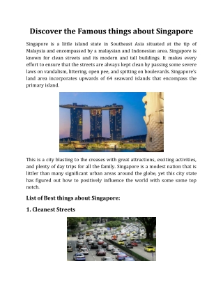 Discover the Famous things about Singapore