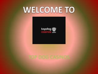 Online Casino Reviews 2020