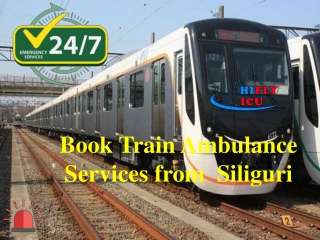 Book Fastest Train Ambulance Services in Siliguri by HIFLY ICU