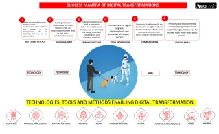 Success Mantra in Digital Transformations