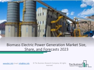 Biomass Electric Power Generation Market Report | Insights and Forecasts