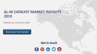 Al Ni Catalyst Market Insights 2019