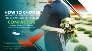 How to Choose a Wonderful Wedding Color Scheme by Cheap Limo Service DC