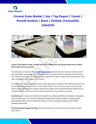 Global Ceramic Foam Market Analysis 2015-2019 and Forecast 2020-2025