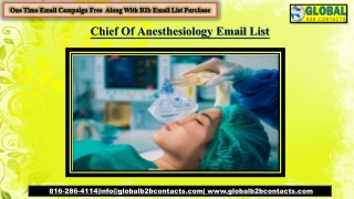 Chief Of Anesthesiology Email List