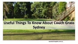 Useful Things To Know About Couch Grass Sydney