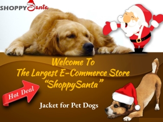 Buy Coat for Dogs Online at ShoppySanta