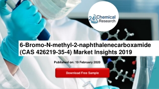 6-Bromo-N-methyl-2-naphthalenecarboxamide (CAS 426219-35-4) Market Insights 2019