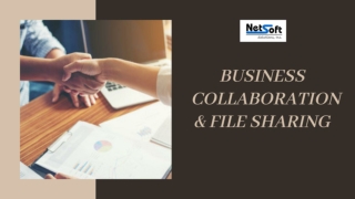 Get advantage of Business Collaboration & File Sharing System