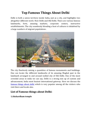 Top Famous Things About Delhi