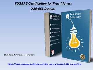 2020 Latest The Open Group OG0-081 Exam Questions